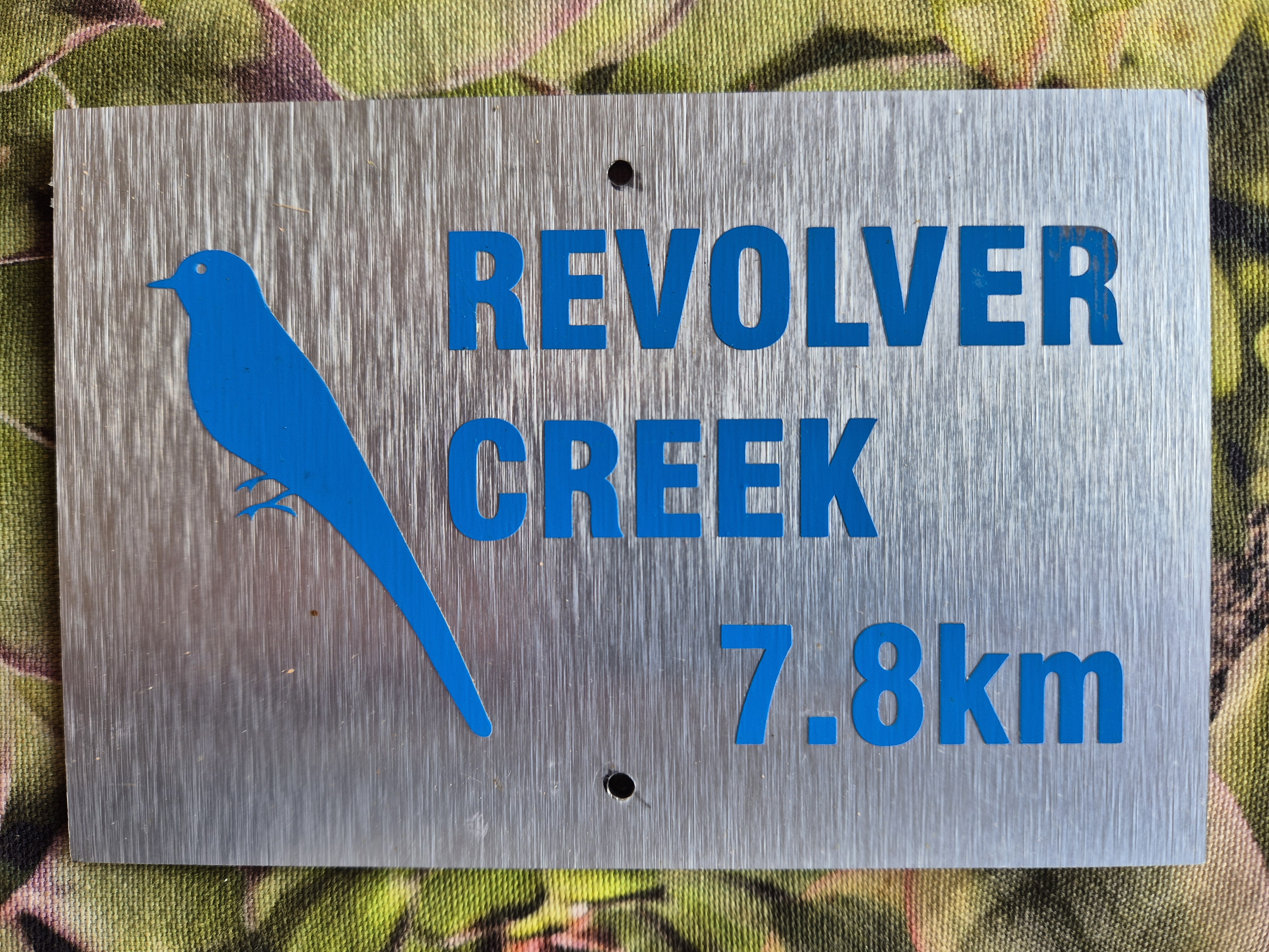 Map board for Revolver Creek trail